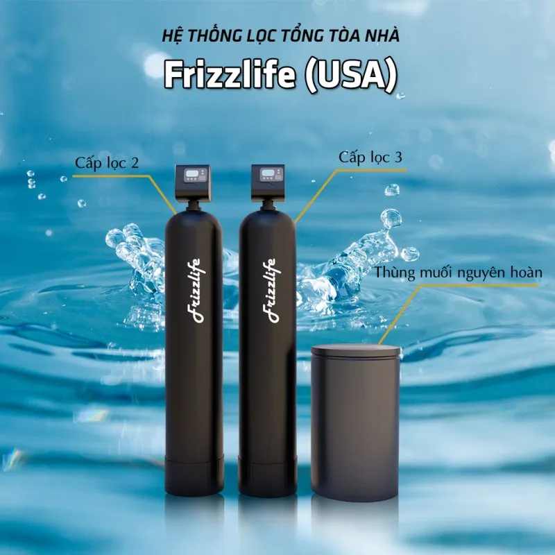 Lọc tổng Frizzlife (USA)