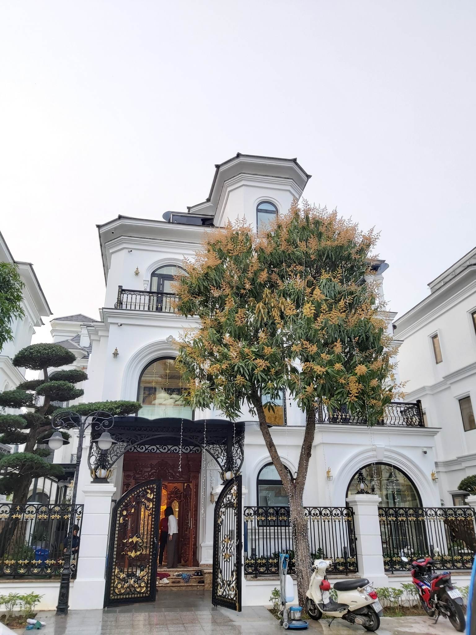 CT Vinhomes Oceanpark 1 - Gia Lâm