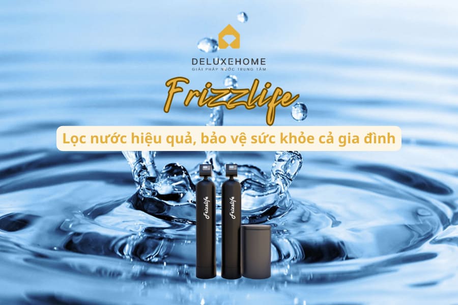 hệ thống lọc tổng Frizzlife