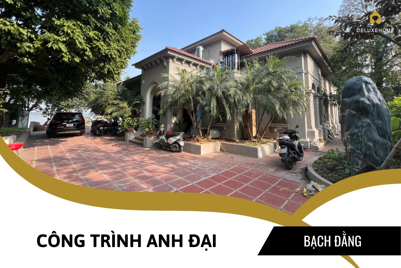 CT Anh Đại, Bạch Đằng
