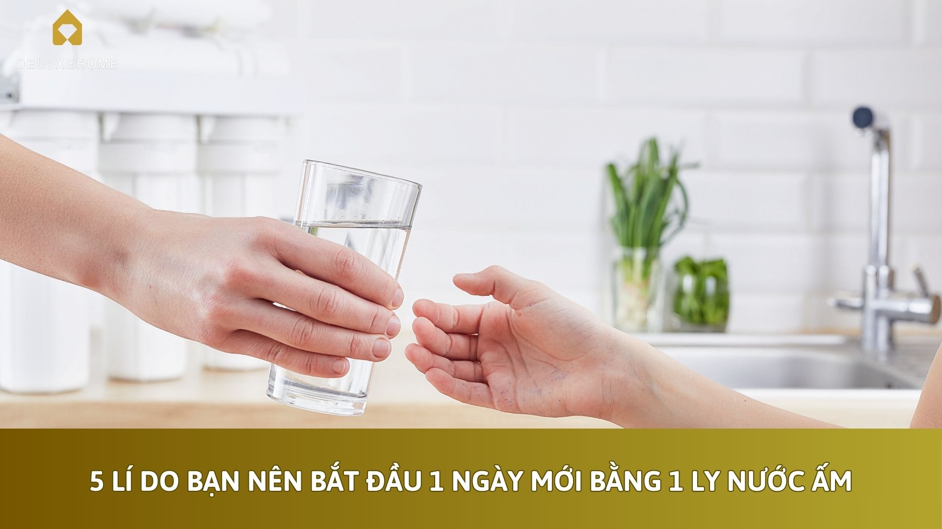 Xu hướng sử dụng nước sạch của các gia đình hiện đại