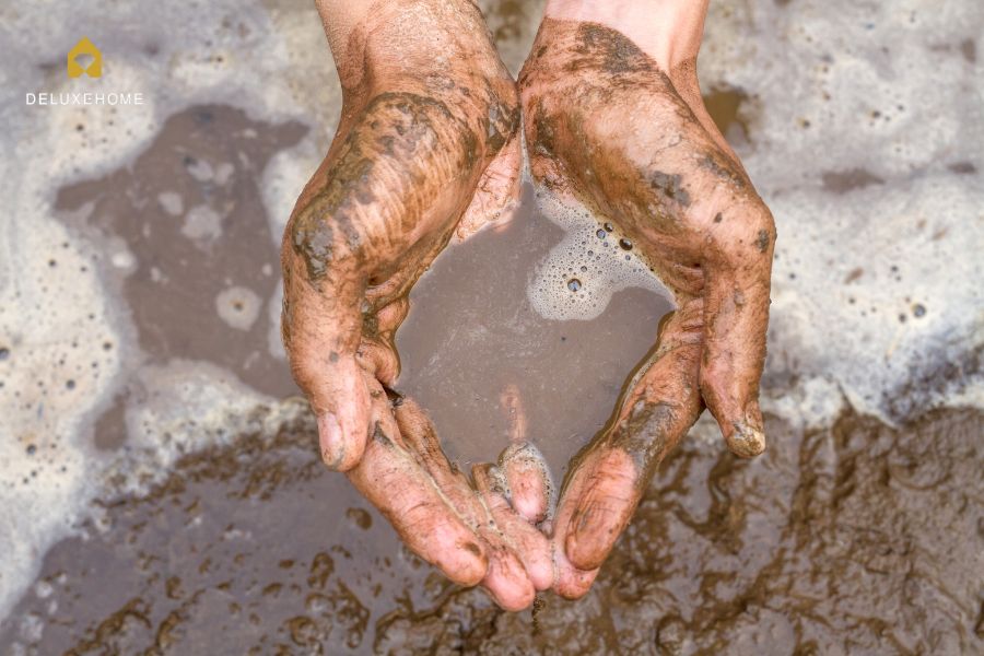 Sai Lầm Về Nước