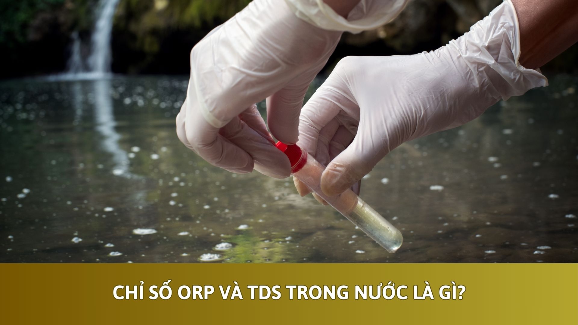 Chỉ số ORP và TDS trong nước là gì?