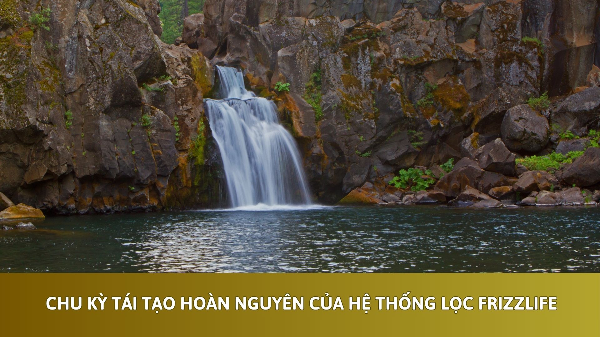 Chu Kỳ Tái Tạo Hoàn Nguyên Của Hệ Thống Lọc Frizzlife