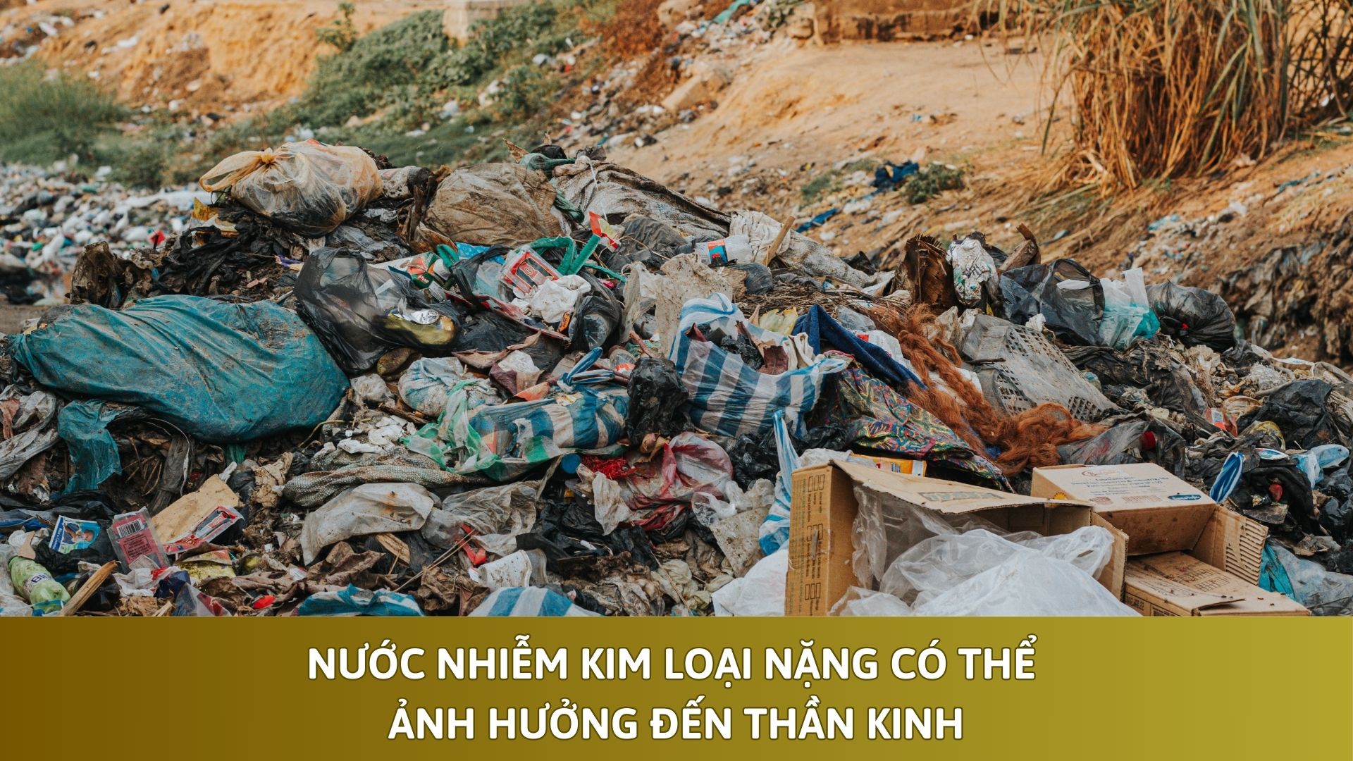 Nước nhiễm kim loại nặng có thể ảnh hưởng đến thần kinh