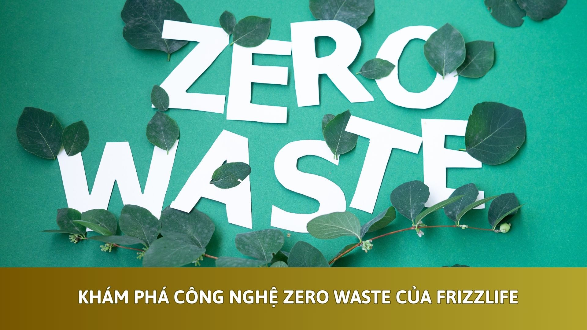 Khám Phá Công Nghệ Zero Waste Của Frizzlife