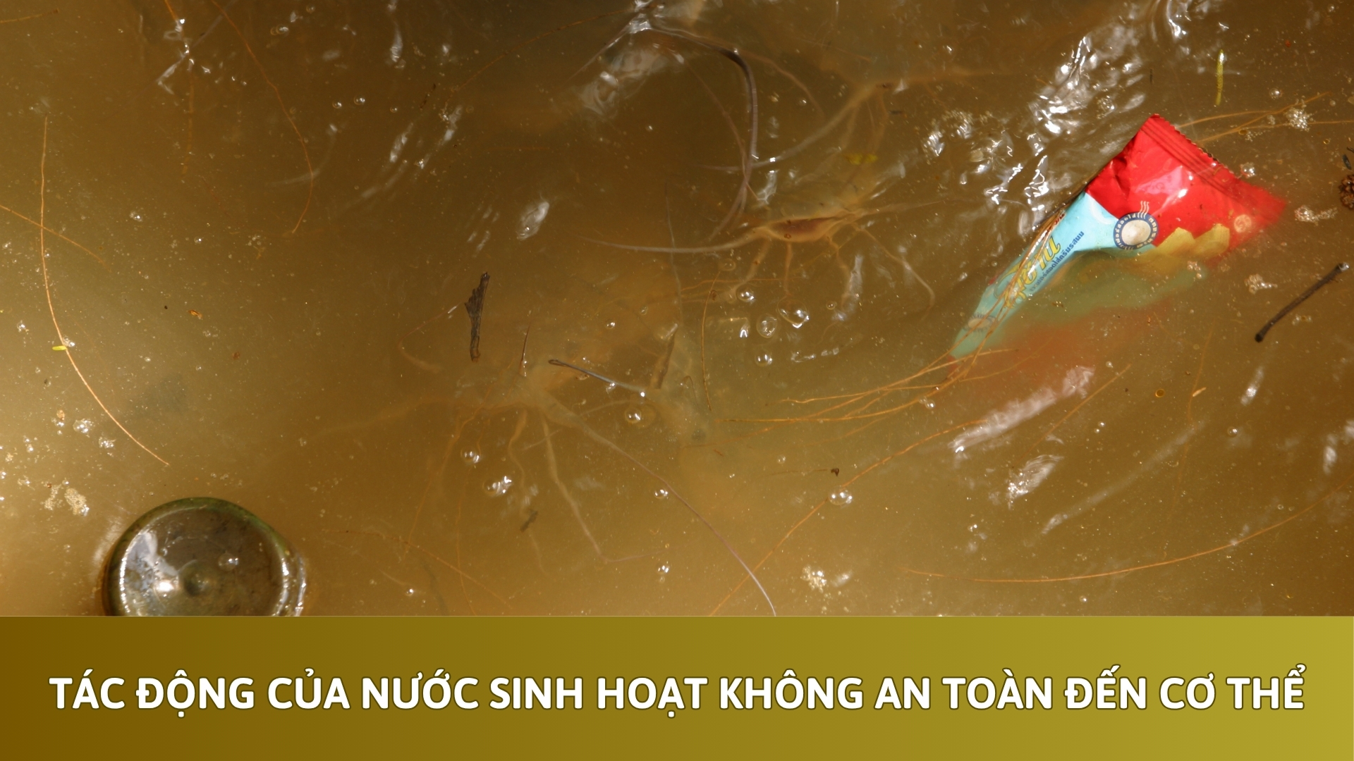 Tác động của nước sinh hoạt không an toàn đến cơ thể